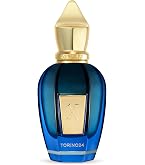 Amazon.com: Xerjoff Renaissance Eau de Parfum, 100ml / 3.4 fl oz